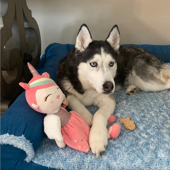 Meet your Poshers, Summit & Skylar Blue. - Picture 2 of 3